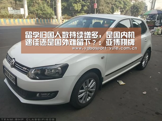 留学归国人数持续增多,是国内机遇佳还是国外难留下?:亚博棋牌(图2) 亚博棋牌