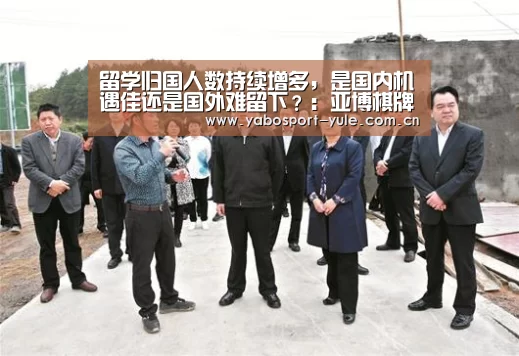 留学归国人数持续增多,是国内机遇佳还是国外难留下?:亚博棋牌(图4) 亚博棋牌