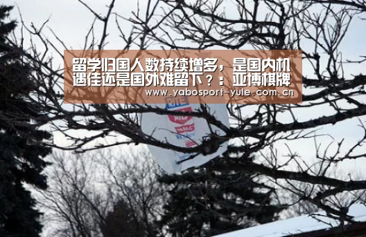留学归国人数持续增多,是国内机遇佳还是国外难留下?:亚博棋牌(图3) 亚博棋牌